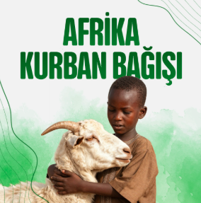 Büyükbaş Kurban Hissesi